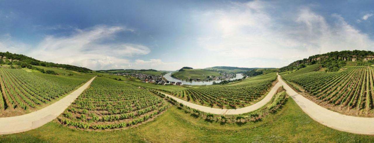 Hotel Weingut Matthias Dostert / Culinarium à Nittel Extérieur photo